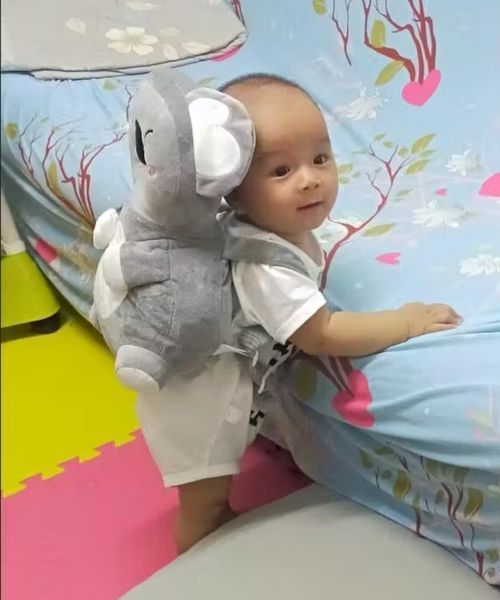 Детская защитная подушка Коала защита для головы и спины Первые шаги HBkoal-002 фото